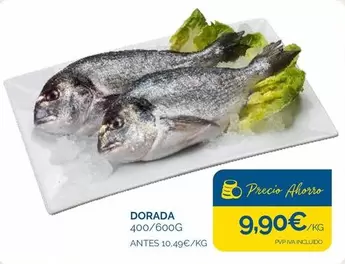 dorada - Dorada