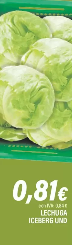 Lechuga Iceberg