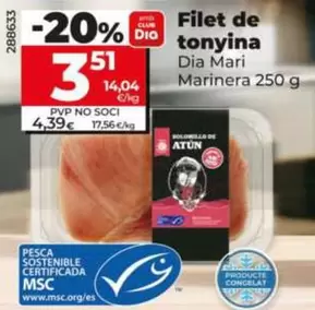 Dia Mari Marinera - Solomillo De Atún
