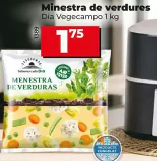 Dia Vegecampo - Menestra De Verduras