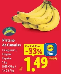 Platano De Canarias