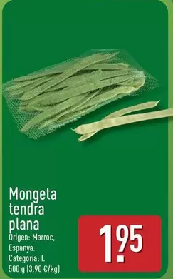 Mongeta Tendra Plana