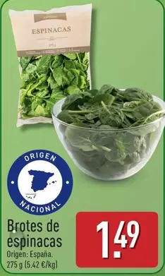 Brotes De Espinacas