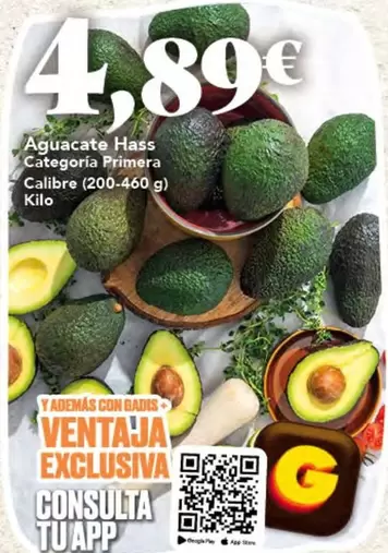 Aguacate Hass Categoria Primera Calibre