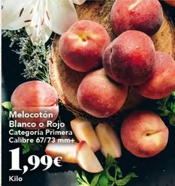 Blanco - Melocoton O Rojo Categoria Primera