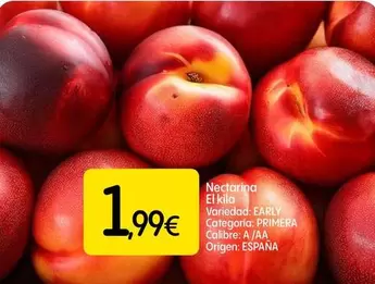 Nectarina Origen: España