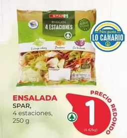 Spar - Ensalada