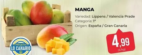 Valencia - Manga