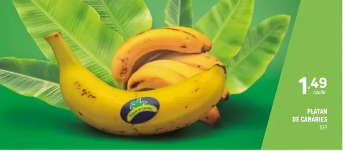 Platan De Canarias