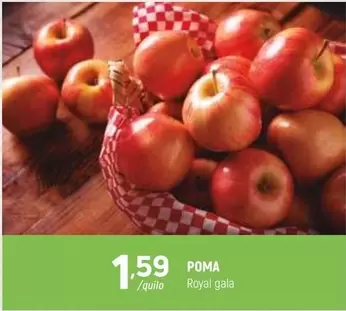 Royal - Poma