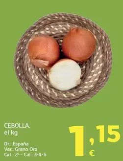 Cebolla