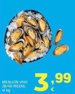 Mejillón Vivo