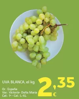 Uva Blanca