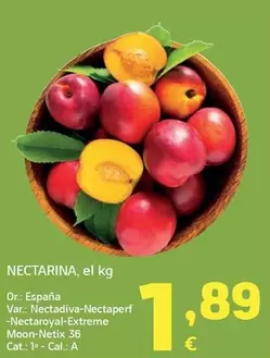 Nectarina