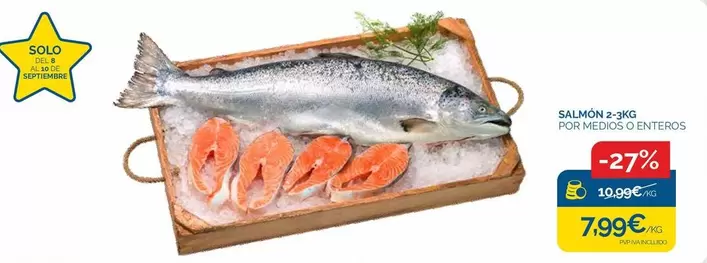 Solo - Salmon