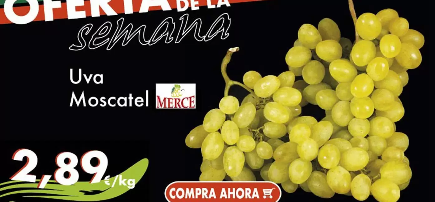 Uva Moscatel