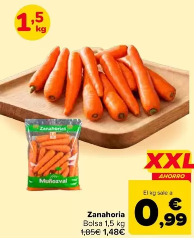 Zanahoria
