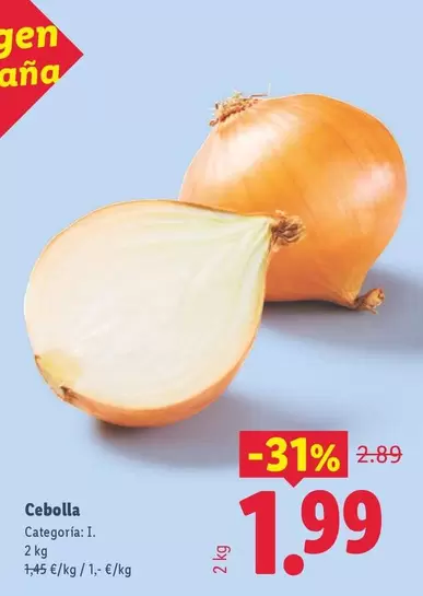 Cebolla