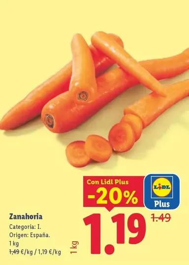 Zanahoria