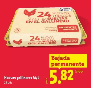 Huevos Gallineros M/L