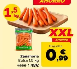 Zanahoria