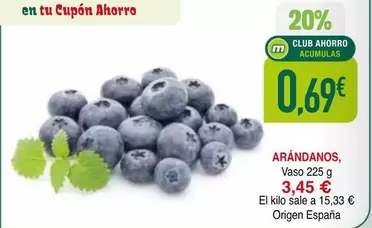 origen - Arandanos