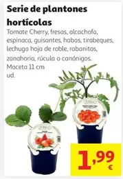 Serie De Plantones Horticolas