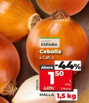 Cebolla