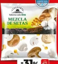 Dia Vegecampo - Mezcla De Setas