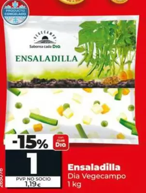 Dia Vegecampo - Ensaladilla
