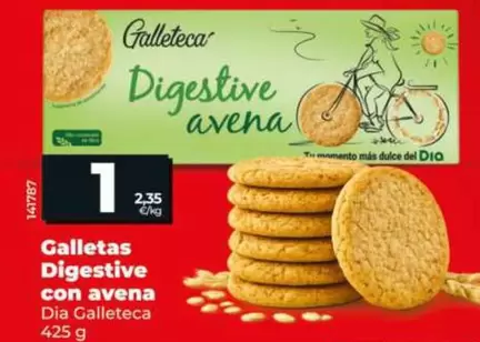 Dia Galleteca - Galletas Digestive Con Avena 