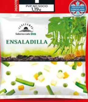 Dia Vegecampo - Ensaladilla