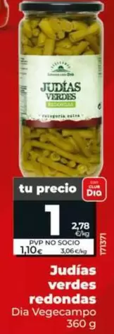 Dia Vegecampo - Judias Verdes Redondas