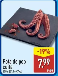 Pota De Pop Cuita