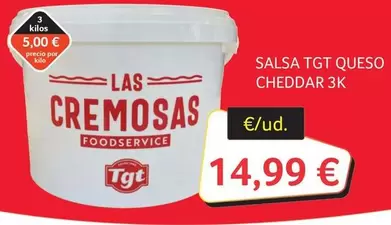 Tgt - Salsa Queso Cheddar