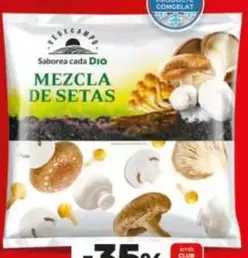 Dia Vegecampo - Mezcla De Setas