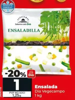 Dia Vegecampo - Ensaladilla