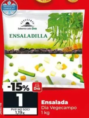 Dia Vegecampo - Ensaladilla