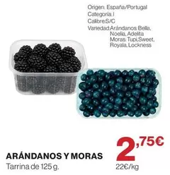origen - Arándanos Y Moras