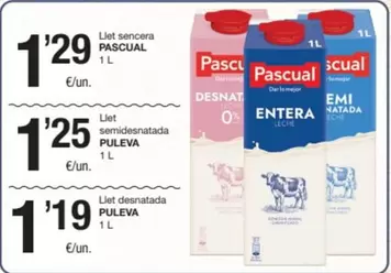 Pascual - Llet Sencera