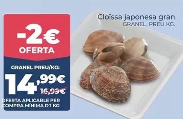 Cloissa Japonesa Granel. Preu