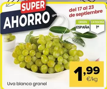 Uva Blanca Granel
