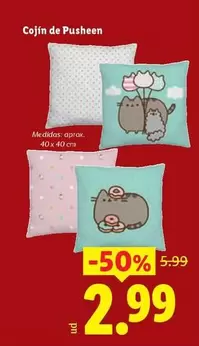 Cojin De Pusheen