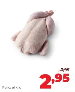 Pollo