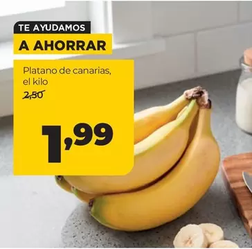 Platano De Canarias