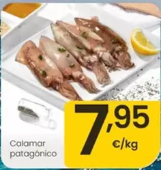 Calamar Patagonico