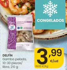 Delfín - Gamba Pelada