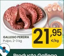 Gallego Pereira - Pulpo