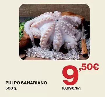 Pulpo Sahariano