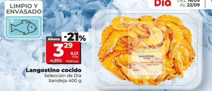 Seleccion De Dia - Langostino Cocido